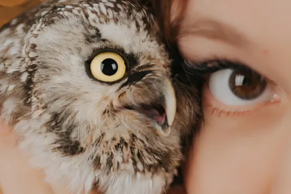 Casino Palace of Chance Suporte